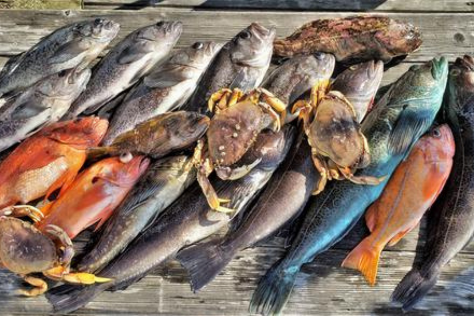 Fish to Target in Northern California – Fisherman's Life®
