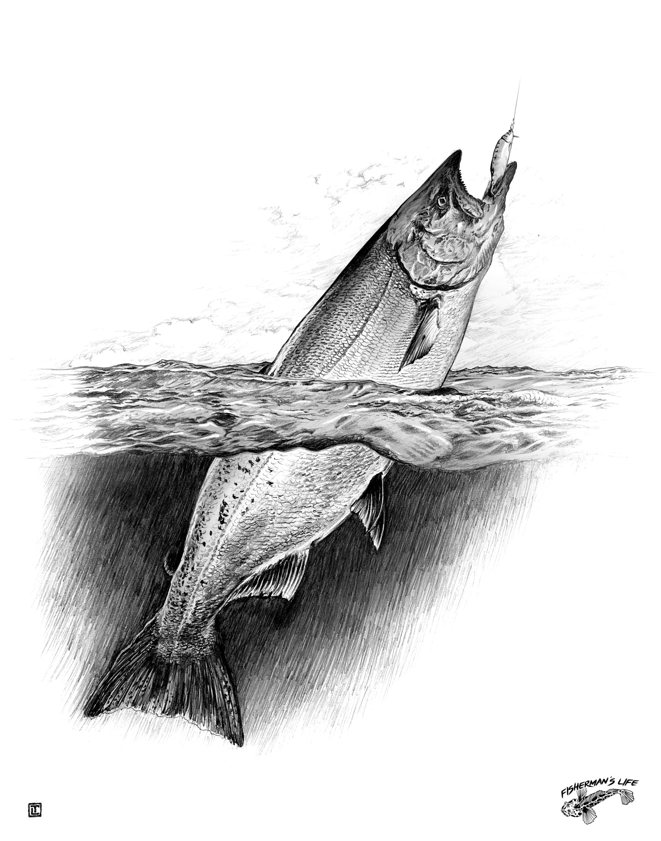King Salmon and Cable Baiter Hand Drawn 11x14 – Fisherman's Life®